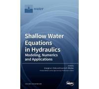 Anargiros I Delis Ioannis K N Shallow Water Equations in Hydr (Copertina rigida)