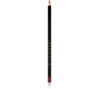 Anastasia Beverly Hills Labbra Lip Liner Matita labbra Cool Brown 1,5 g