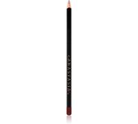Anastasia Beverly Hills Lip Liner matita contouring per le labbra colore Raisin 1,49 g