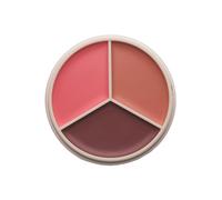Anastasia Beverly Hills - Magic Touch Blush Trio 9 g Oro rosa unisex