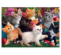 Anatolian - Puzzle Gattini al gioco - 260 Pezzi