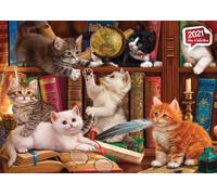 Anatolian - Puzzle Gattini in Biblioteca - 500 Pezzi
