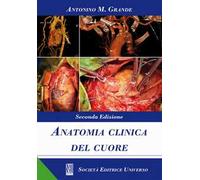 Anatomia clinica del cuore
