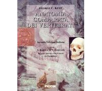 Anatomia comparata dei vertebrati