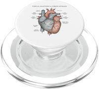 Anatomia Cuore Incisione Vintage Scienza Cardiovascolare PopSockets PopGrip per MagSafe