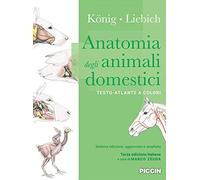 Anatomia degli animali domestici. Testo-atlante a colori