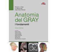 Anatomia del Gray. I fondamenti