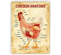 Anatomia del pollo, poster in metallo vintage, enciclopedia sugli animali, decorazione da fattoria, targa, decorazione da parete per casa, cucina, regalo interessante, cartello in latta di ferro, 8x1