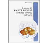 Anatomia del sistema nervoso centrale e periferico dell'uomo