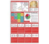 Anatomia della forma d'onda ECG, interpretazione rapida dell'ECG, cartello in metallo, decorazione vintage per ufficio, poster in latta per club, ospedale, decorazione da parete per casa, 8x12 pollici