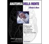 Anatomia della mente. A brain is born
