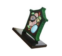 Anatomia delle piante Modello Biologia Scienza Biologia cellulare Aiuto per l'apprendimento per l'esposizione in aula Giocattolo Anatomia Aiuto didattico Forniture di laboratorio cellulare