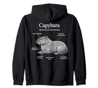 Anatomia di Un Schema del Roditore Divertente Capibara Felpa con Cappuccio