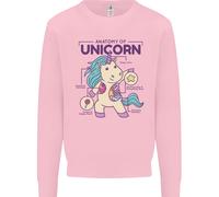 Anatomia Di Un Unicorno Divertente Fantasy Uomo Felpa