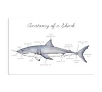 Anatomia di uno squalo, targhe in metallo con informazioni sugli squali, poster, scienza degli squali, targhe infografiche, decorazioni da parete per ufficio, club, 8x12 pollici