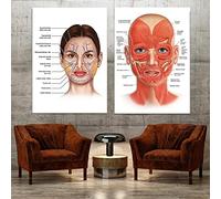 Anatomia Facciale Vasi Muscolari Stampa Artistica Dettagliata Scienza Dell'Educazione Dottore Canvas Canvas Art Decor Poster 30x50cmx2 (12x20 "X2) Frameless
