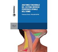 Anatomia funzionale del sistema nervoso periferico spinale dell'uomo