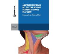 Anatomia funzionale del sistema nervoso periferico spinale dell'uomo - For...