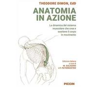 Anatomia in azione. La dinamica del sistema muscolare che crea e sostiene il corpo in movimento