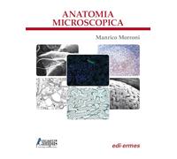 Anatomia microscopica