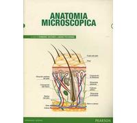 Anatomia microscopica