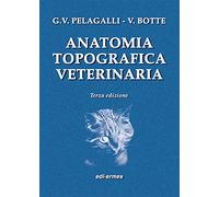 Anatomia topografica veterinaria