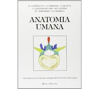 Anatomia umana
