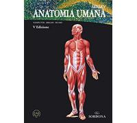 Anatomia umana