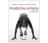 Anatomia umana