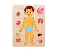 Anatomia umana, giocattolo educativo per bambini, sviluppo precoce, set da | Giocattolo educativo per bambini, attrezzatura per la comprensione giocosa, display esploratore, materiale plastico con