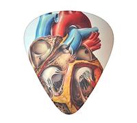 Anatomia Umana Grafico Cuore Plettri Chitarra Triangolo Classico Basso Acustico Ed Elettrica Plettri Per Chitarra Per Chitarristi 12 Pezzi