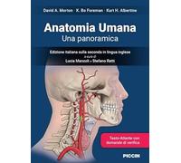 Anatomia umana. Una panoramica