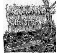 Anatomia, Undergang - Split