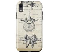 Anatomia vertebrale lombare dell'osso lombare Custodia per iPhone XR