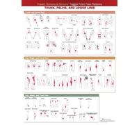 Anatomical Char Travell, Simons & Simons’ Trigger Point Pain Patterns W (Poster)