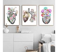 Anatomico Organo Poster Stampe, Anatomia Umana Tela Stampa Quadri Cervello Cuore Polmoni Anatomia Umana Parete Arte Quadro Medica Pronto Decorazioni 40 × 60cm× 3 Senza Cornice