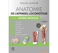 Anatomie De L'appareil Locomoteur: Membre Inférieur (1): Membre Inférieur
