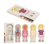 Anatomie Lernpuzzle - Vorschulspielzeug Holz, Kinderpädagogik Spiel, Körper Lernset Klassenzimmer | Interaktiv Wissensspiel Menschenkörper, Lehrreich Vorschüler Bildungsspiel Junge Mädc