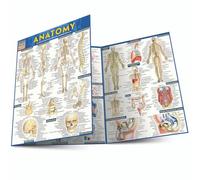 Anatomy: a QuickStudy reference tool