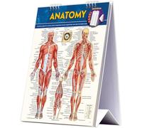 Anatomy: a QuickStudy reference tool