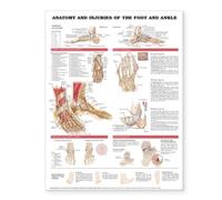 Anatomy and Injuries of the Foot and Ankle (Poster)