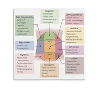 Anatomy Education Poster Abdominal Quadrants and Pain Reference Chart for Nursing School Canvas Wall Art(Framed,12x18inch(30x45cm))