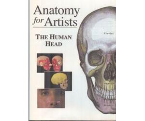 Anatomy for Artists - The Human Head