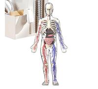 Anatomy Human Body Model - 4D Learning Puzzle, Early Science Kit | Struttura d'organo interattiva educativa giocattolo, allo scheletro muscolare realistico strumento per studenti, famigl