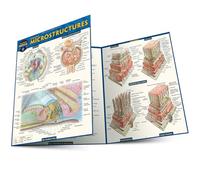 Anatomy Microstructures: A Quickstudy Laminated Reference Guide