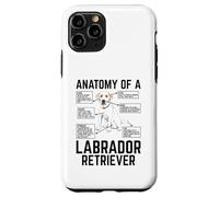 Anatomy Of A Labrador Retriever Custodia per iPhone 11 Pro