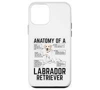 Anatomy Of A Labrador Retriever Custodia per iPhone 12 mini
