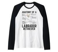 Anatomy of A Labrador Retriever Maglia con Maniche Raglan