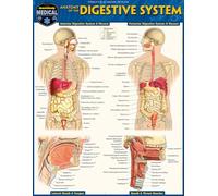 Anatomy of the Digestive System: Quickstudy Laminated Reference Guide