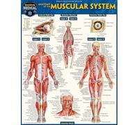 Anatomy of the Muscular System: A Quickstudy Laminated Reference Guide